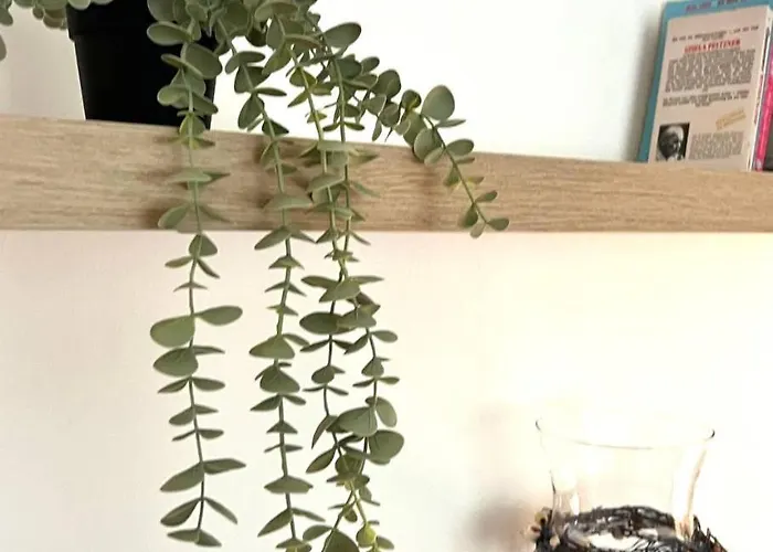 Apartment Hanse-vermietung